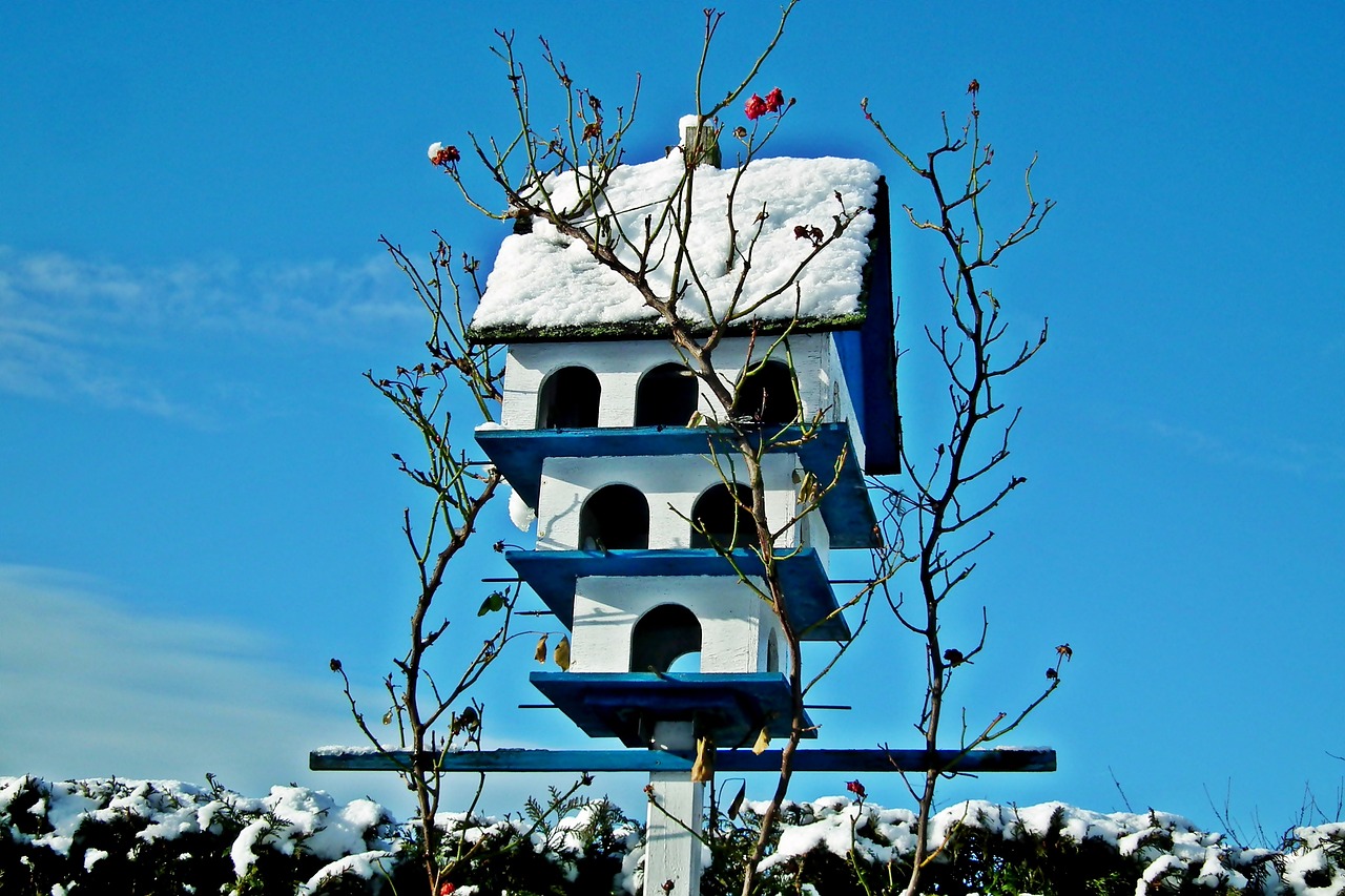 Quirky DIY Birdhouse Ideas for Your Yard Decor